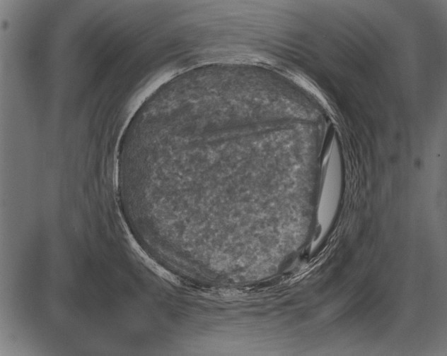 X0000085731095200704091438