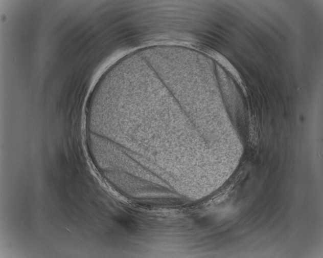 X0000085731096200704091438