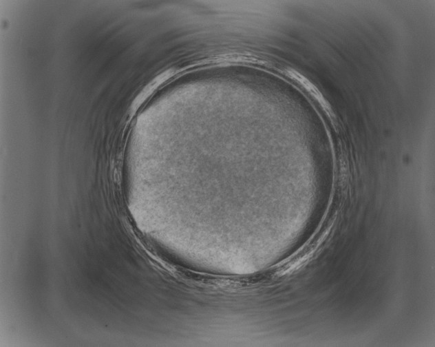 X0000085731097200704091438