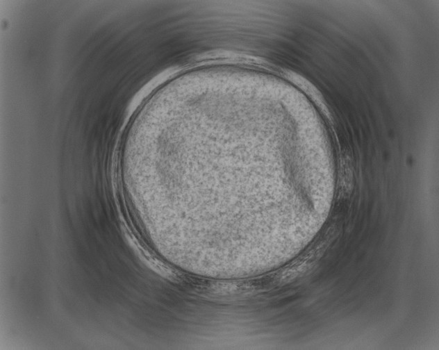 X0000085731098200704091438