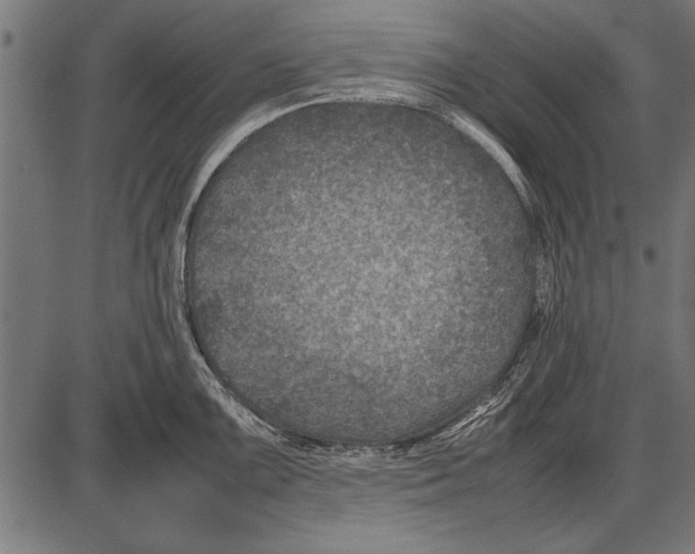 X0000085731099200704091438