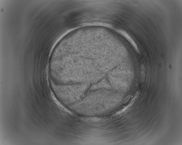 X0000085731100200704091438