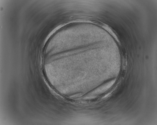 X0000085731101200704091438