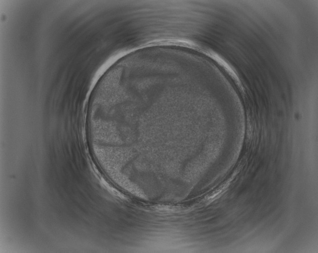 X0000085731102200704091438