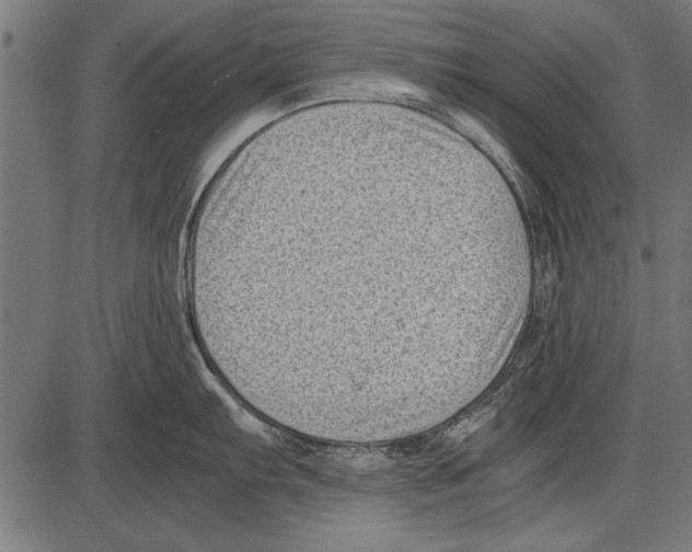 X0000085731103200704091438