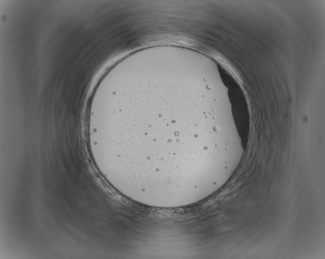 X0000085731104200704091438