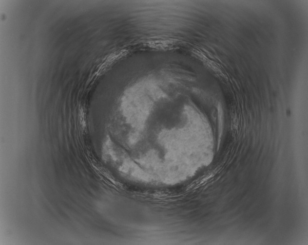 X0000085731106200704091437