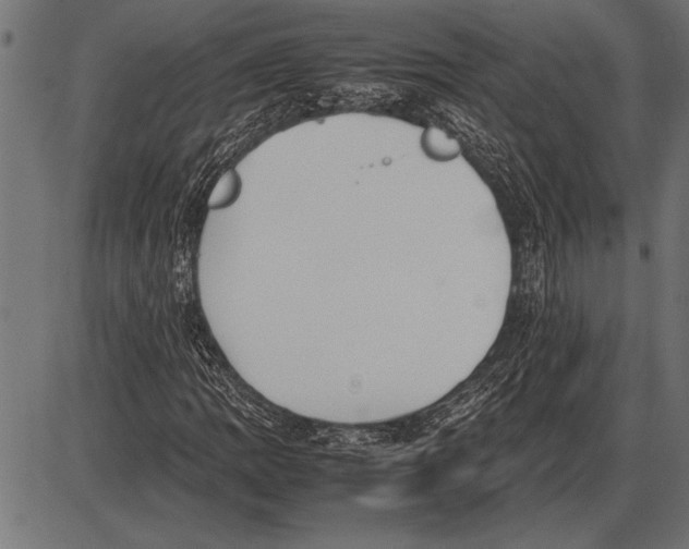 X0000085731109200704091437