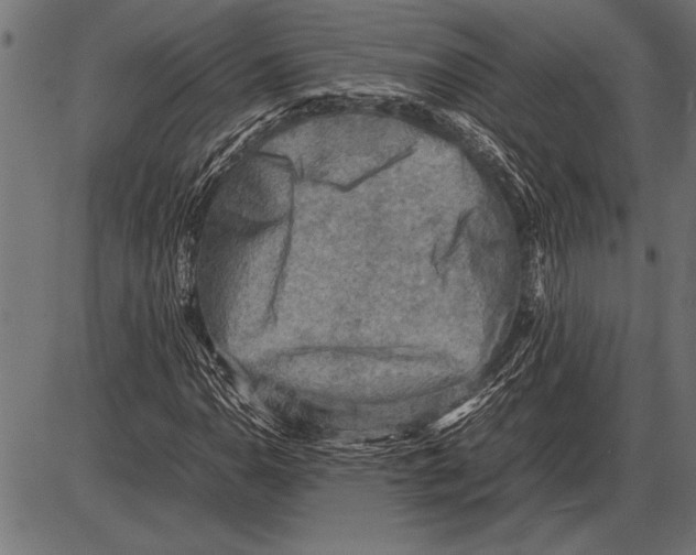 X0000085731110200704091437