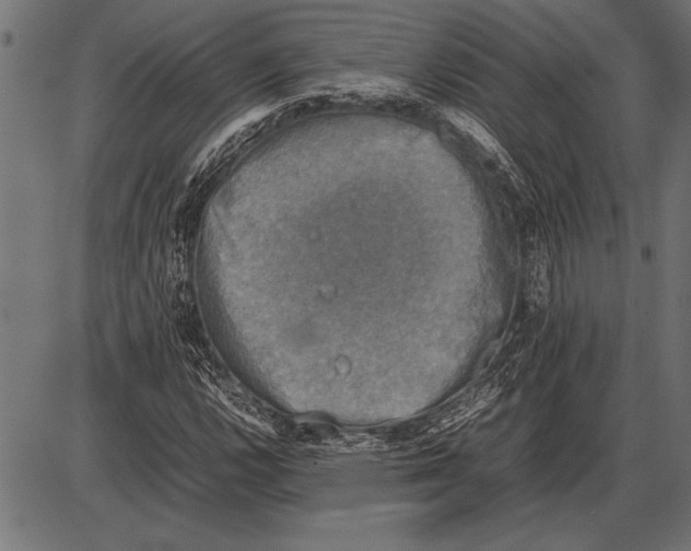 X0000085731112200704091437