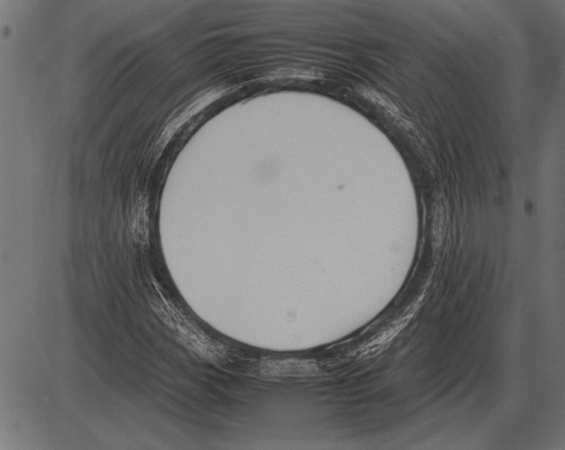 X0000085731113200704091437