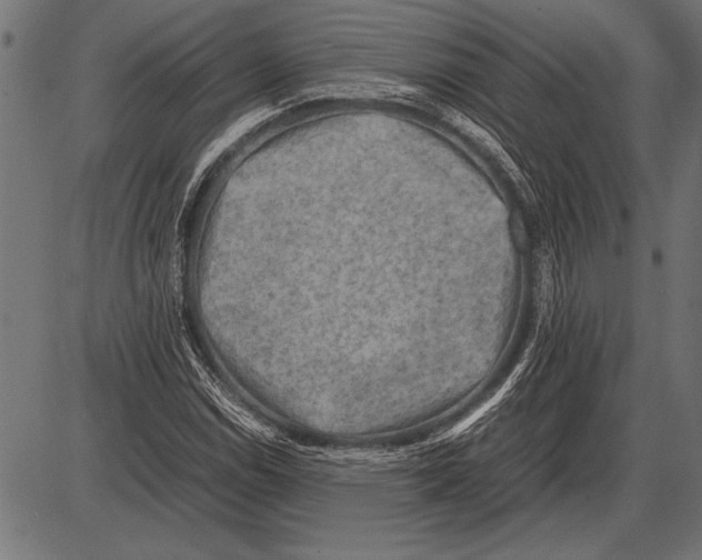 X0000085731114200704091437