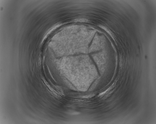 X0000085731115200704091437