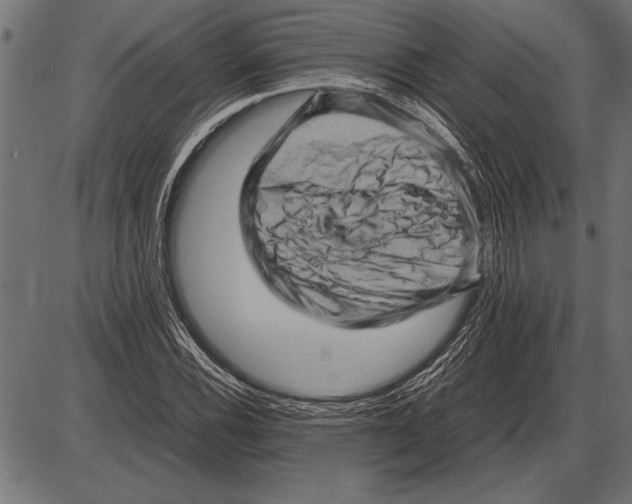 X0000085731116200704091437