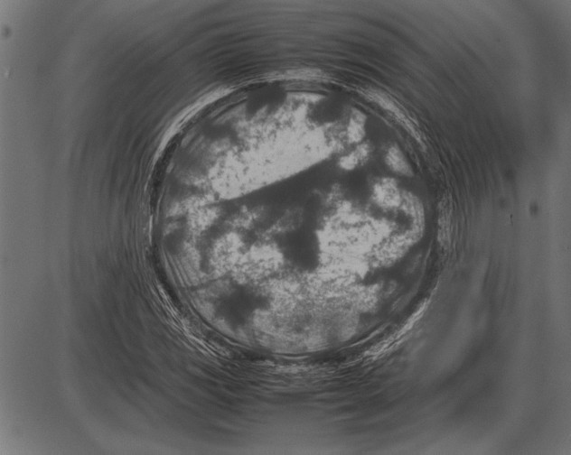 X0000085731117200704091437