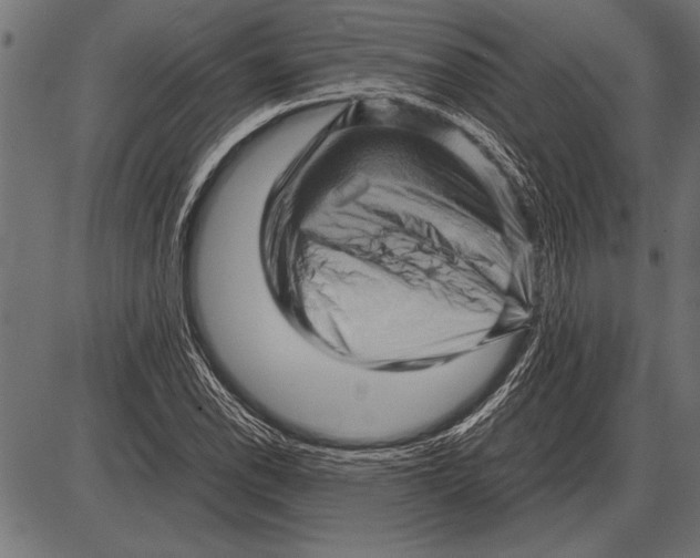 X0000085731118200704091437