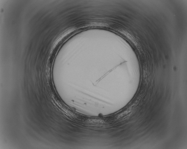 X0000085731119200704091437