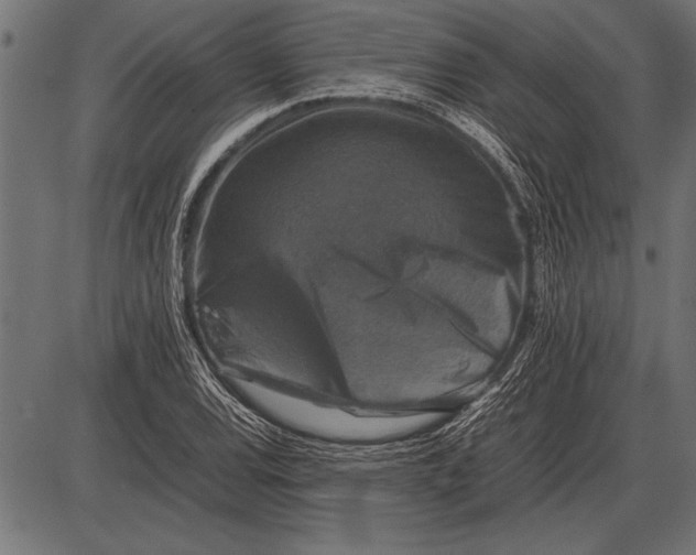 X0000085731120200704091437