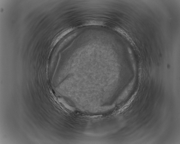 X0000085731121200704091437