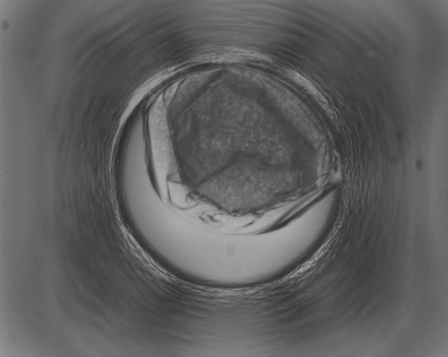 X0000085731122200704091437