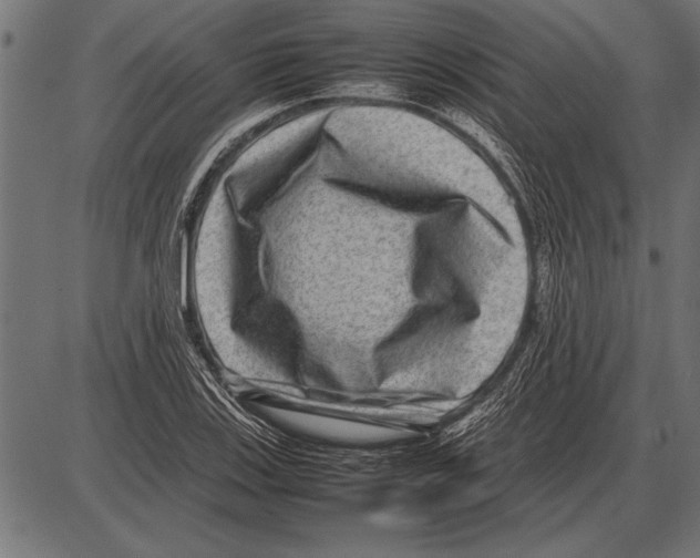 X0000085731123200704091437