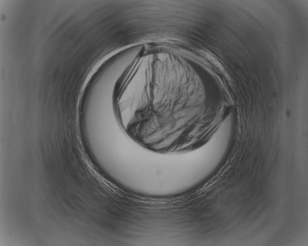 X0000085731124200704091437