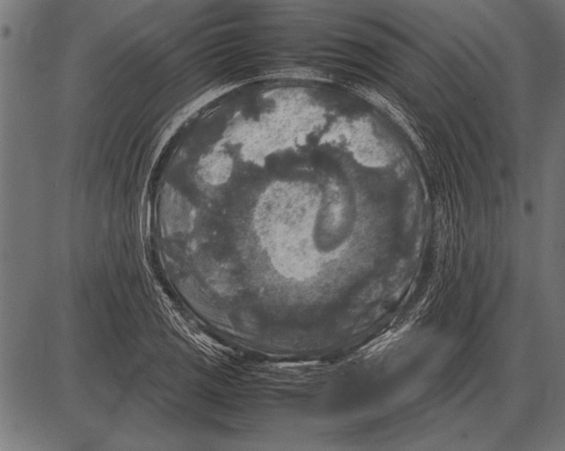 X0000085731125200704091437