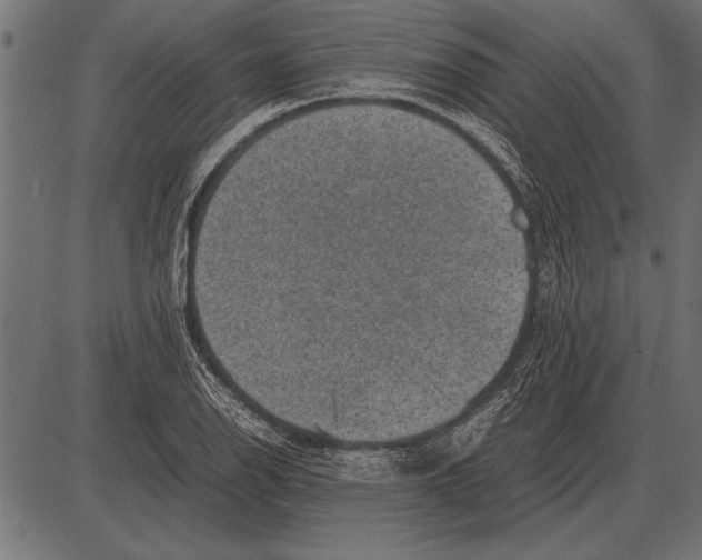 X0000085731126200704091437