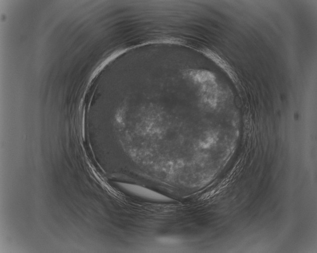 X0000085731127200704091437