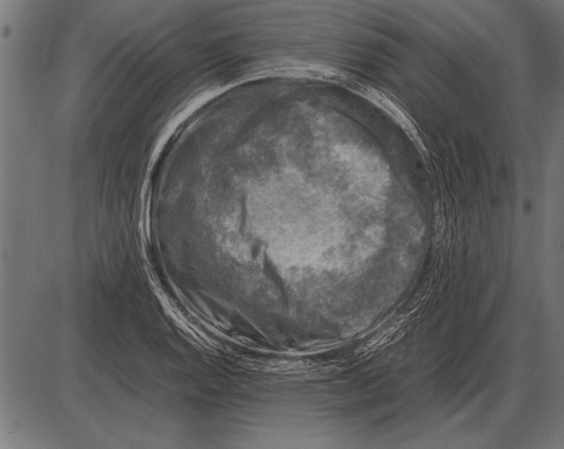 X0000085731128200704091437