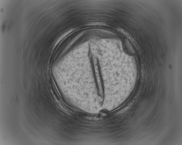 X0000085731129200704091437