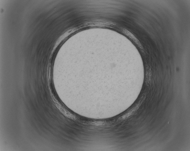 X0000085731130200704091437