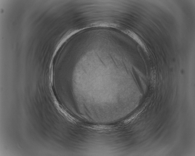 X0000085731132200704091437