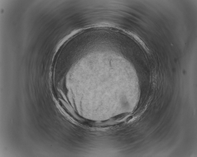 X0000085731134200704091437