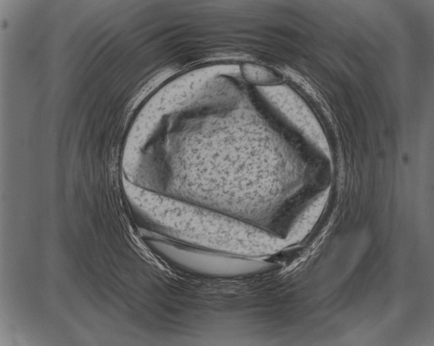 X0000085731137200704091437