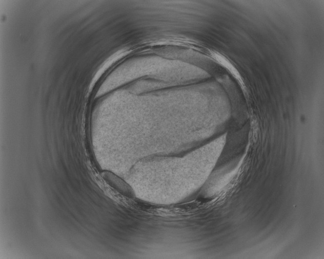 X0000085731138200704091437