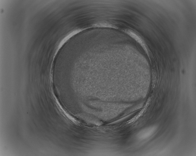 X0000085731141200704091437