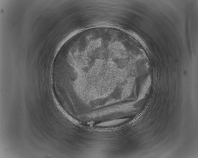 X0000085731142200704091437