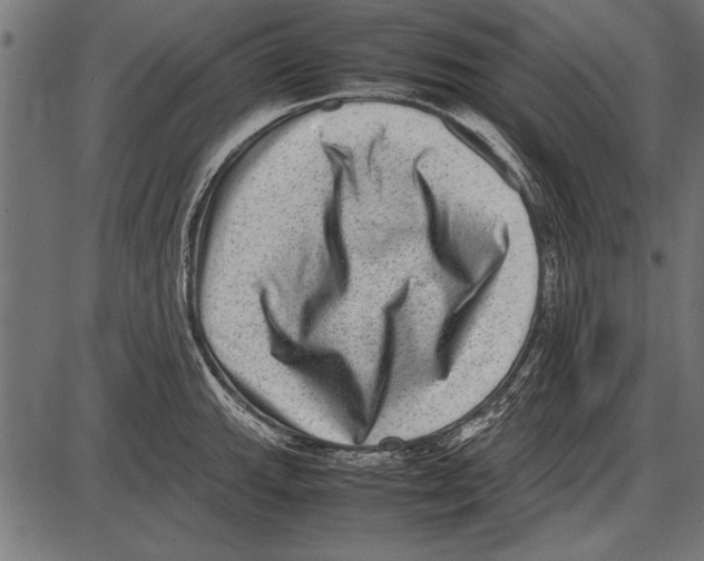 X0000085731143200704091437