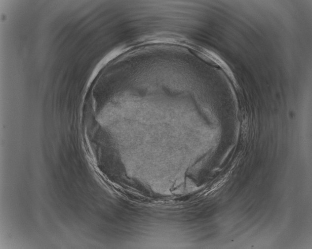 X0000085731146200704091437