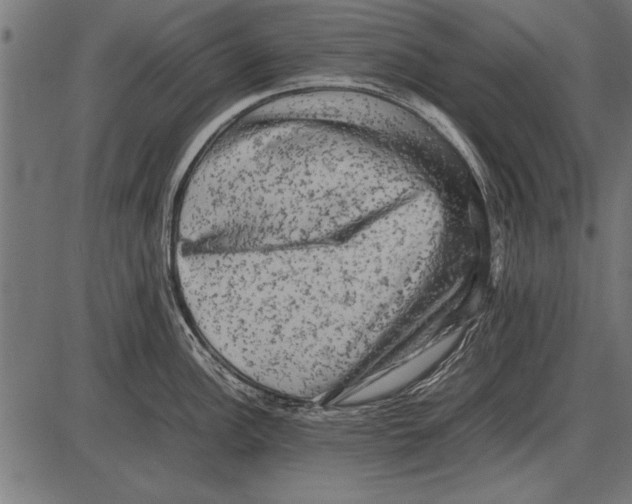 X0000085731148200704091437