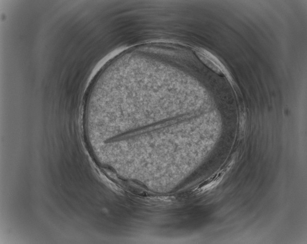 X0000085731149200704091437