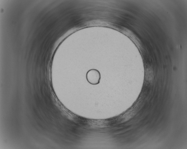 X0000085731150200704091437