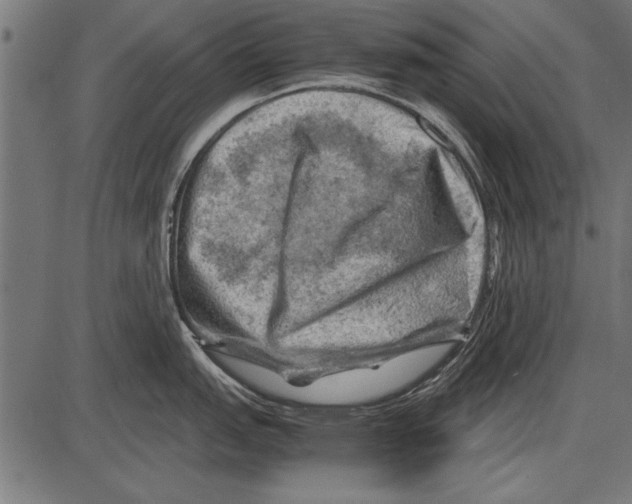 X0000085731151200704091437