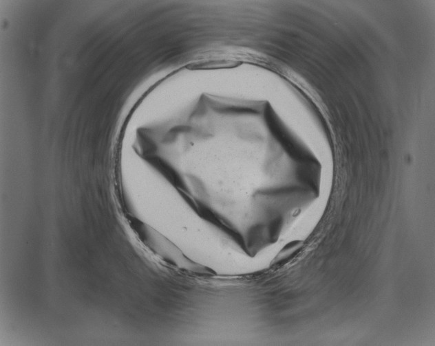 X0000085731152200704091438