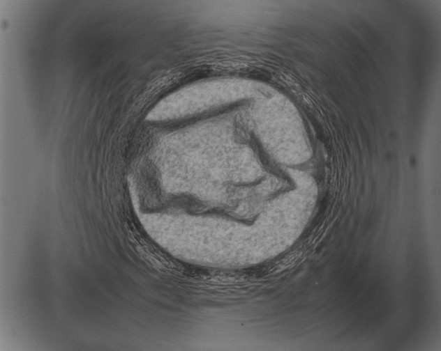 X0000085731153200704091437