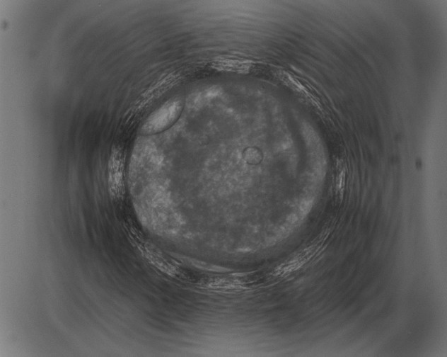 X0000085731154200704091437