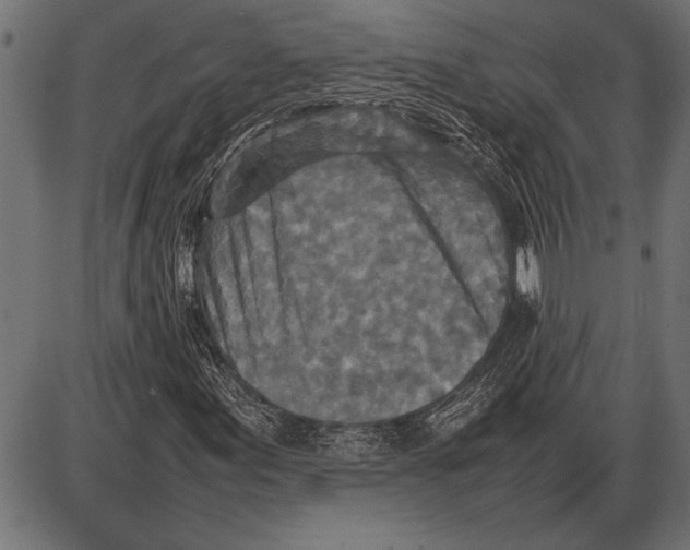 X0000085731155200704091437