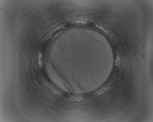 X0000085731156200704091437