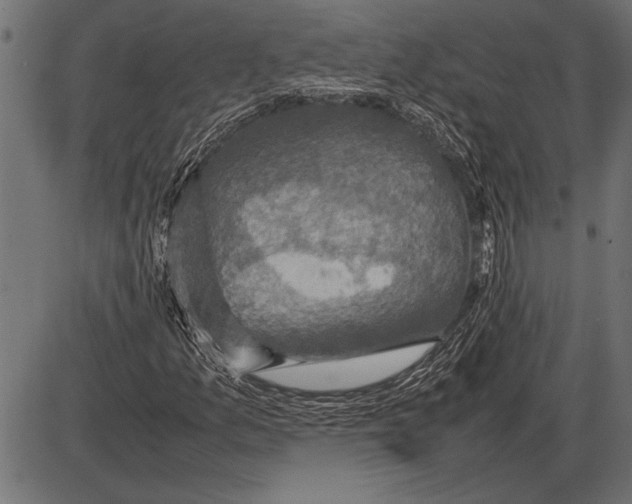 X0000085731157200704091437